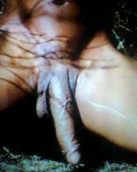 album-cover