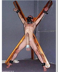 album-cover