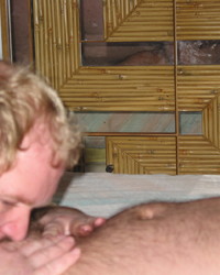 album-cover