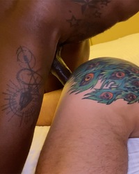 album-cover