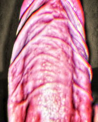 photo-thumb