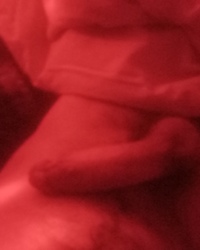 photo-thumb