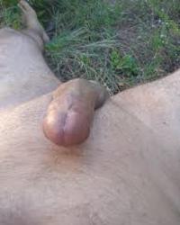 photo-thumb