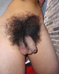 photo-thumb