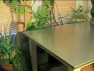 Table Top Fuck