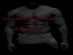 Pollon Packer Teaser