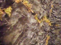 Thumb 7