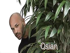 Jovonnie & Osian I