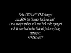 Tribute to a madman