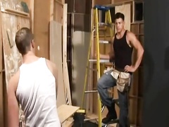 A working day with Champ