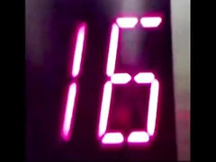 Thumb 8