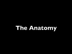 eric crawley anatomy