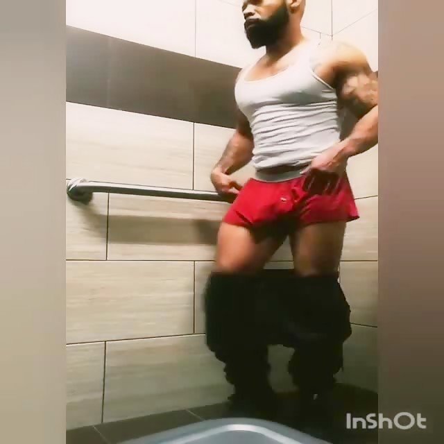 donkey dick wants to play