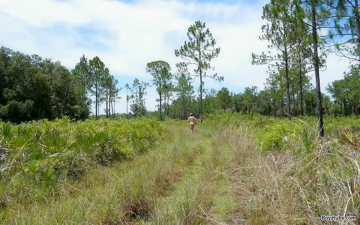 LARGE TIMBER IN THE WOOD'S