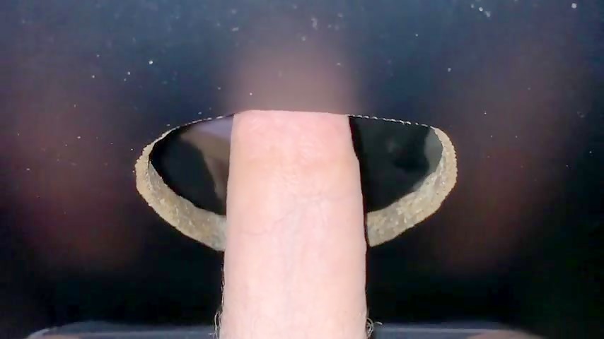 Shark attacks schlong at San Francisco Glory Hole