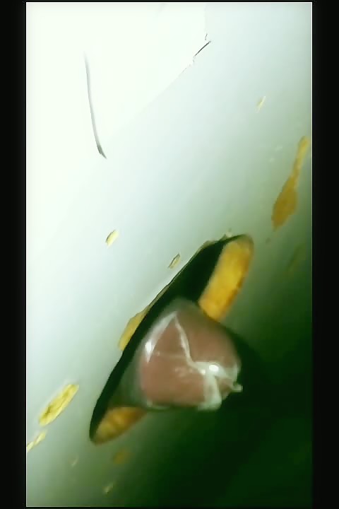 Thumb 11