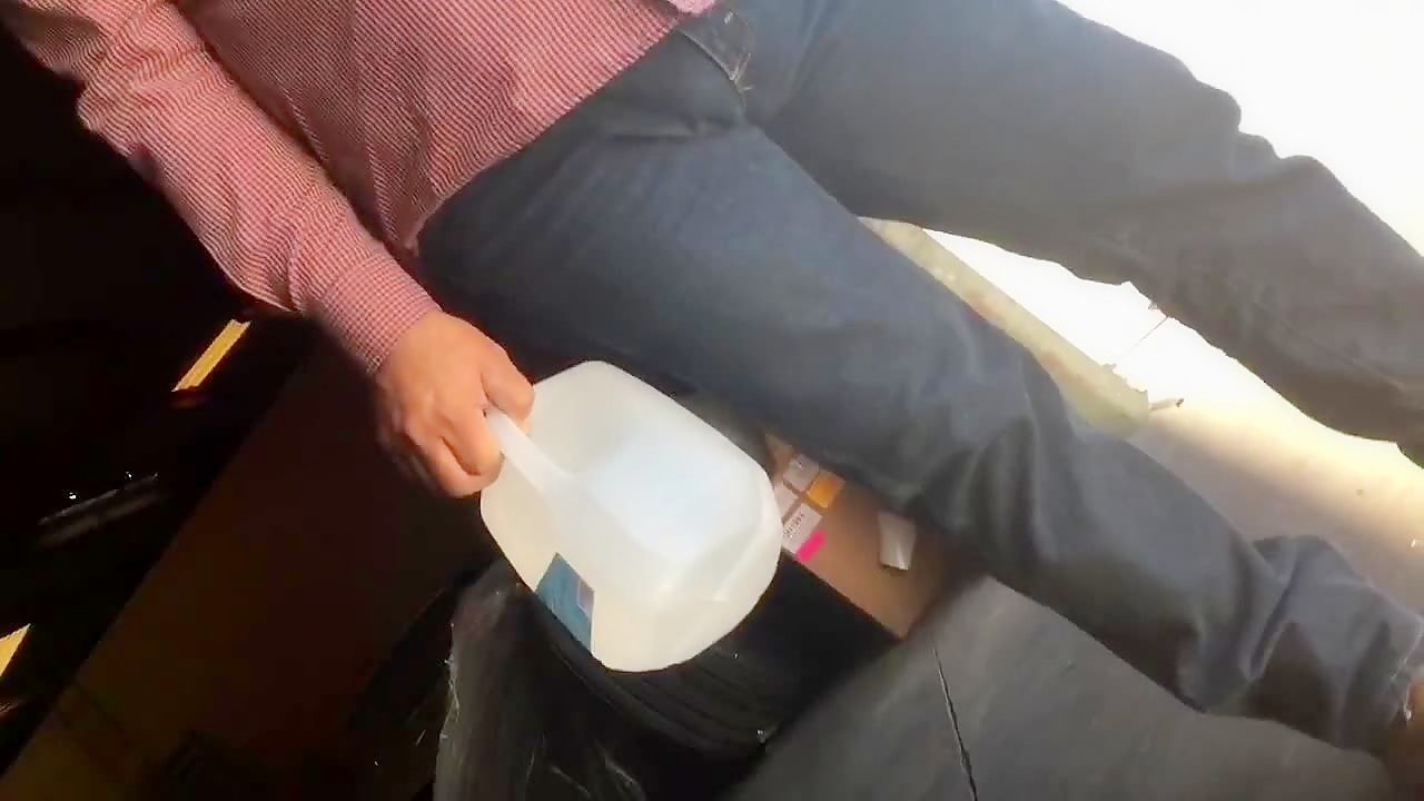 Bulge