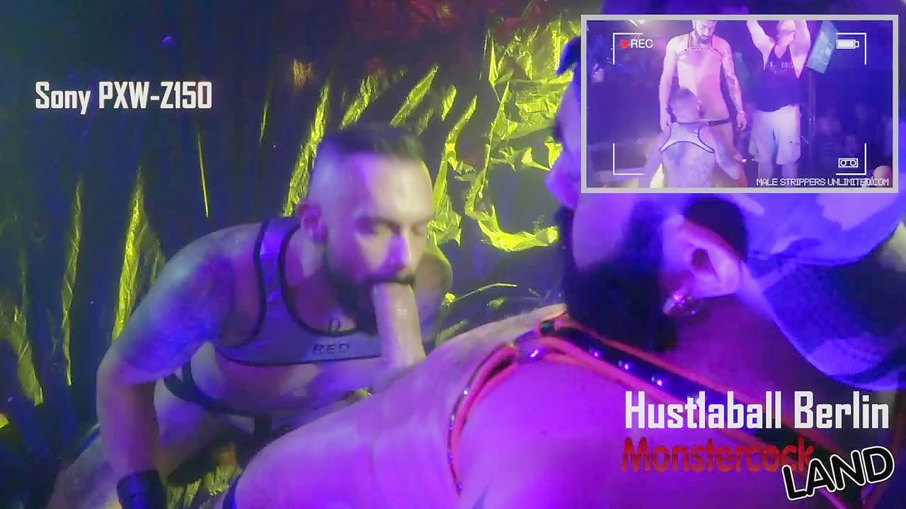 Horsehung Gianni from multiple views