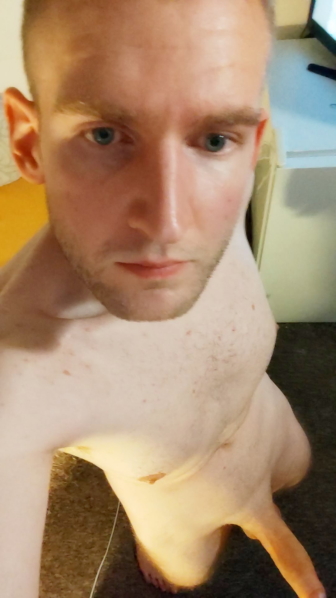 European white big dick, shake it shake it