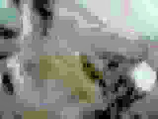 Thumb 18