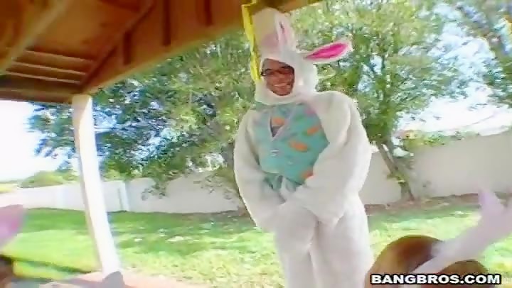 Bunny party