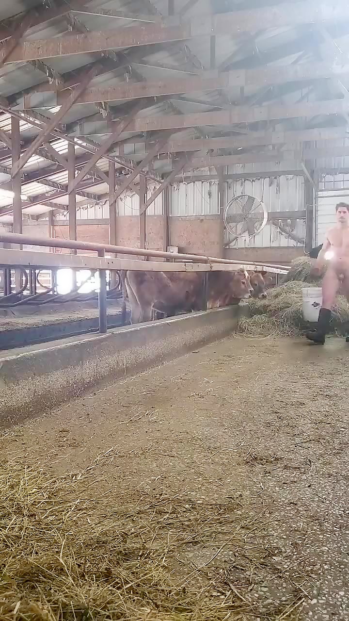Farmer's big cock 1