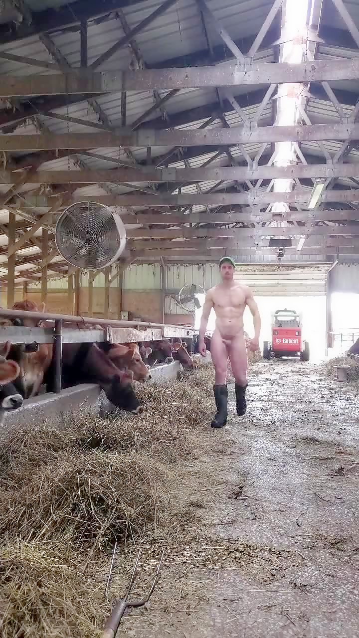 Farmer's big cock 2