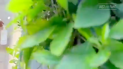 Thumb 20