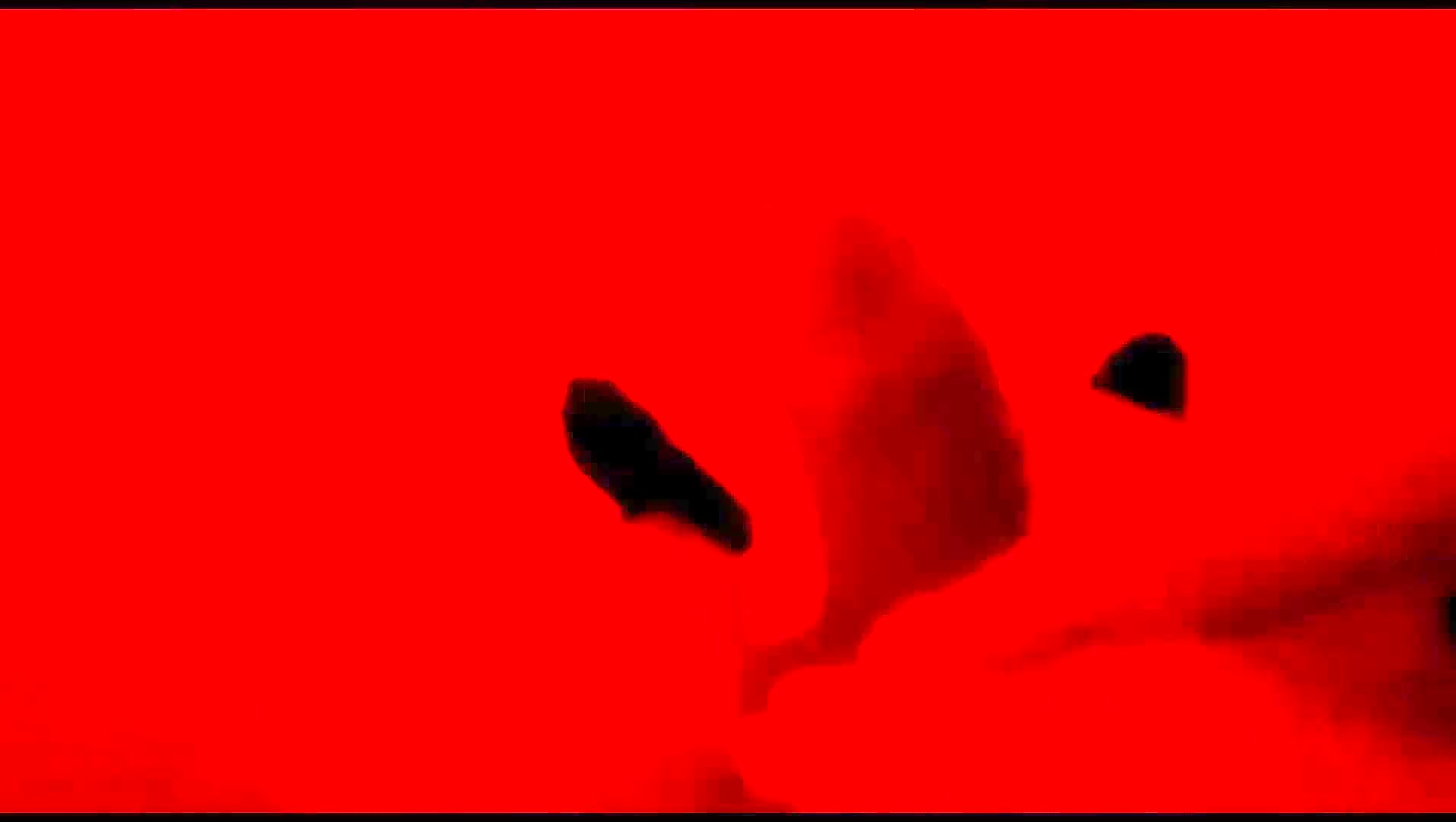 Thumb 9