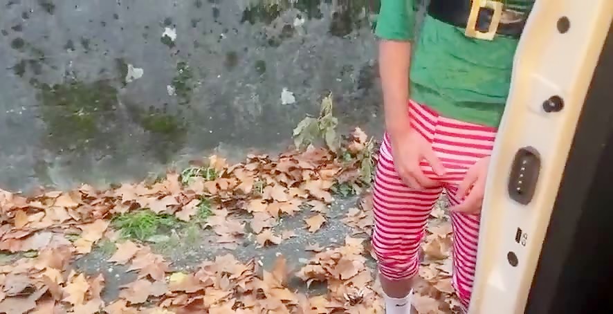 Hairy dom French breeds elf in van