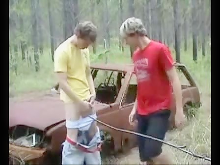 Horse hung