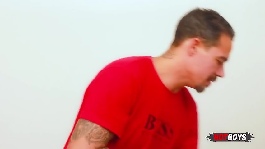 Meu Primo Favorito