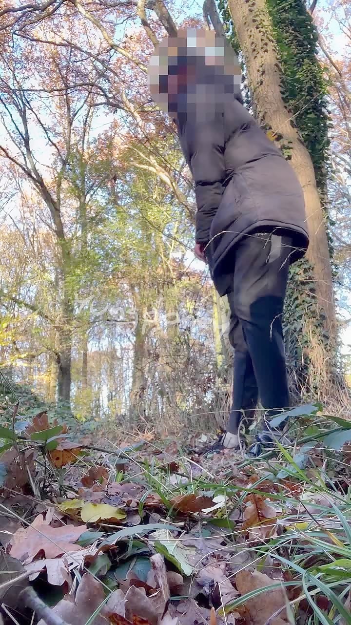 French yungponey plays outdoors