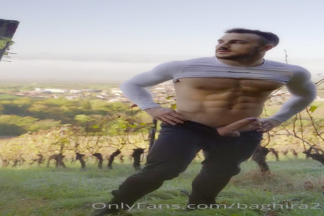 baghira 2