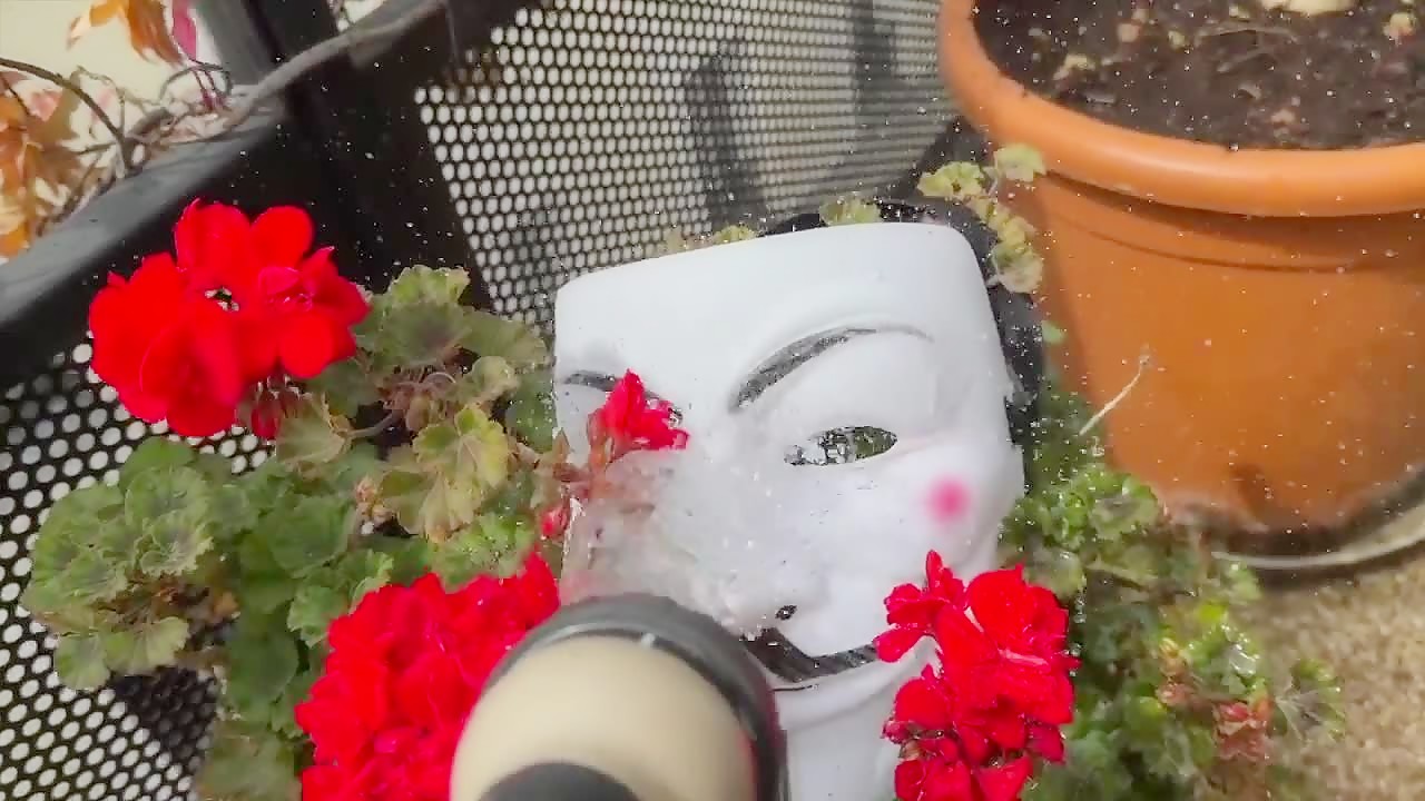 Thumb 20