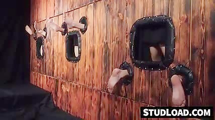 The breeding wall